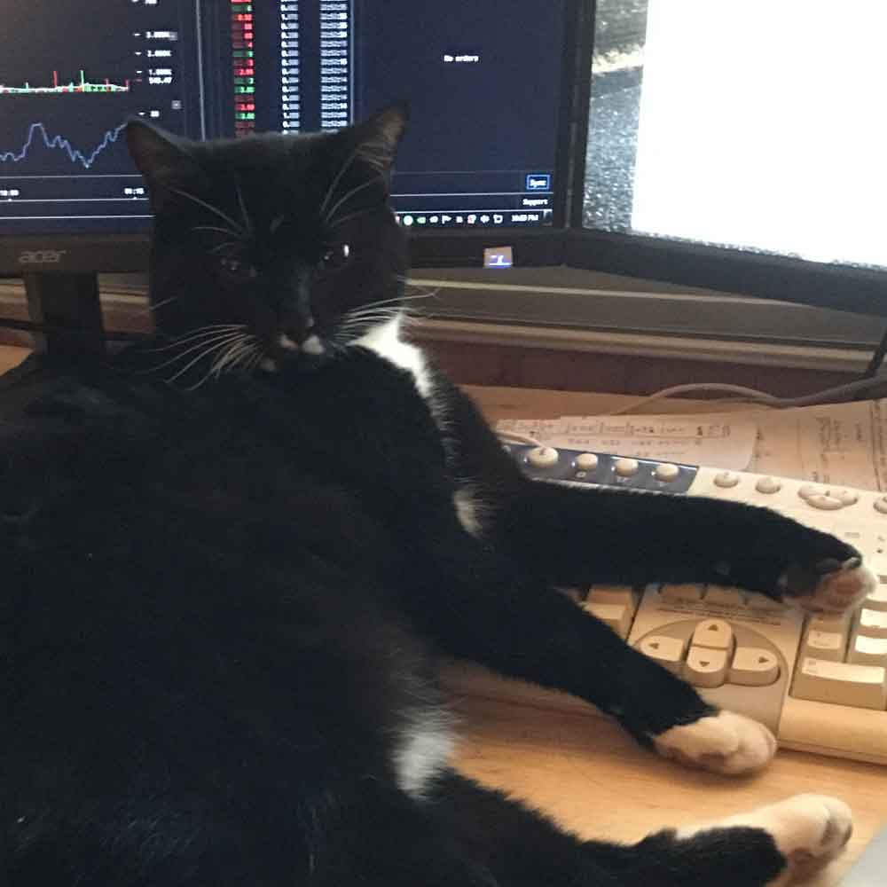 portofolio-me